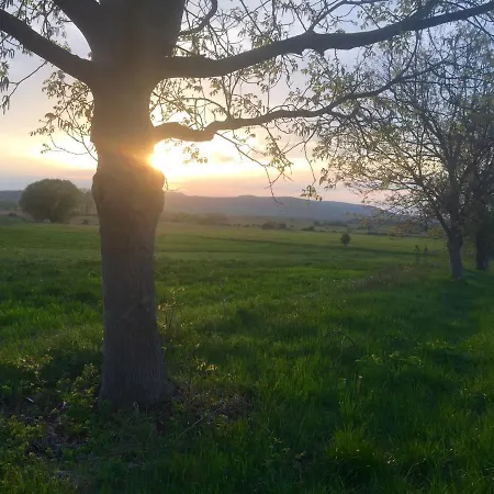 Káli Kerted Monoszló Mariska Néni Háza Villa Monoszlo